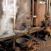 Man processing beans in Mozambique