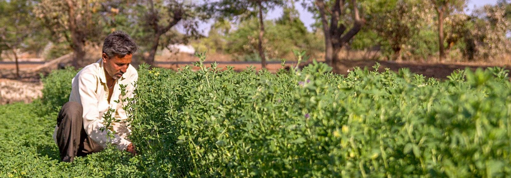 India Entrepreneurship in Poor Communities