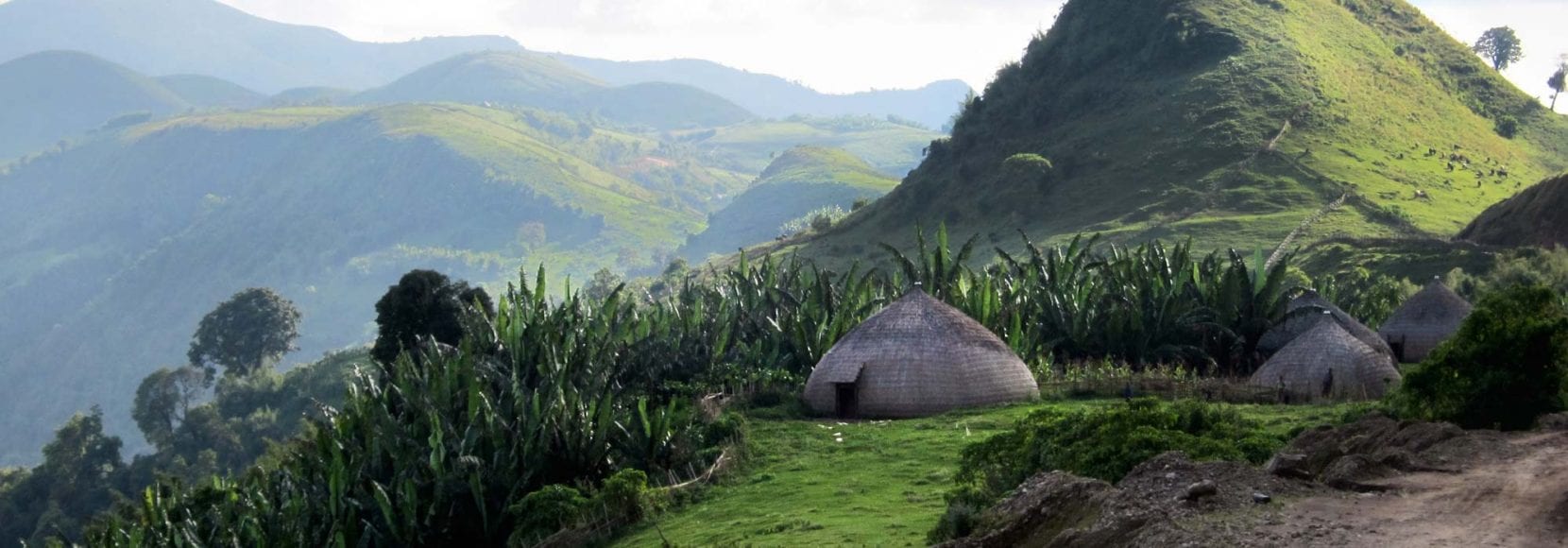 Ethiopia Market Systems