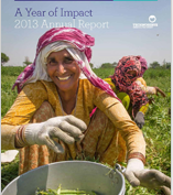 Annual report 2013