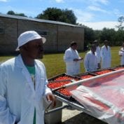 Farmers working at a technical assistance facility