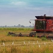 Tractor working to harvest a field