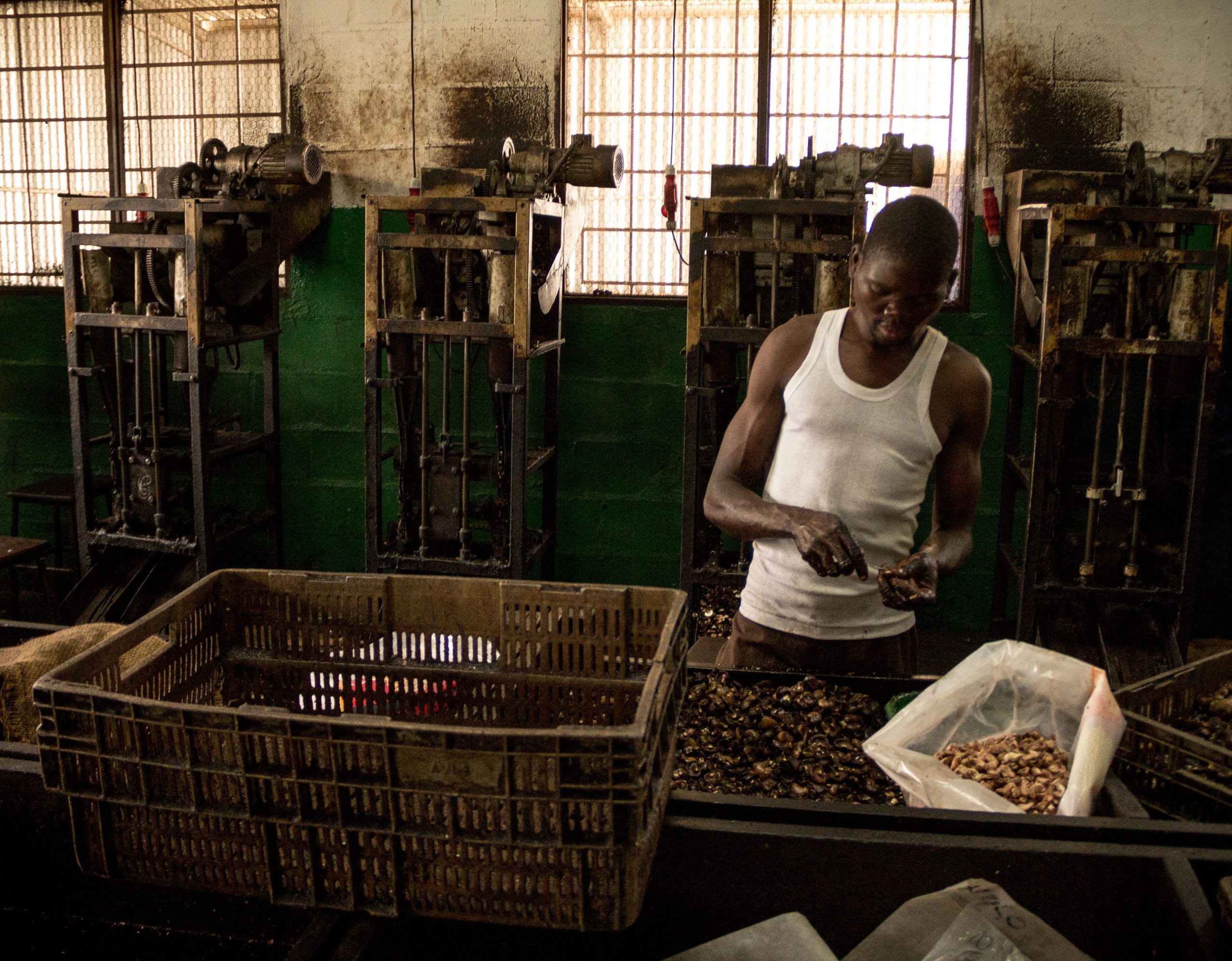 Worker hand processing cashews at Mozacaju facility