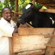 Man smiling next to his cow