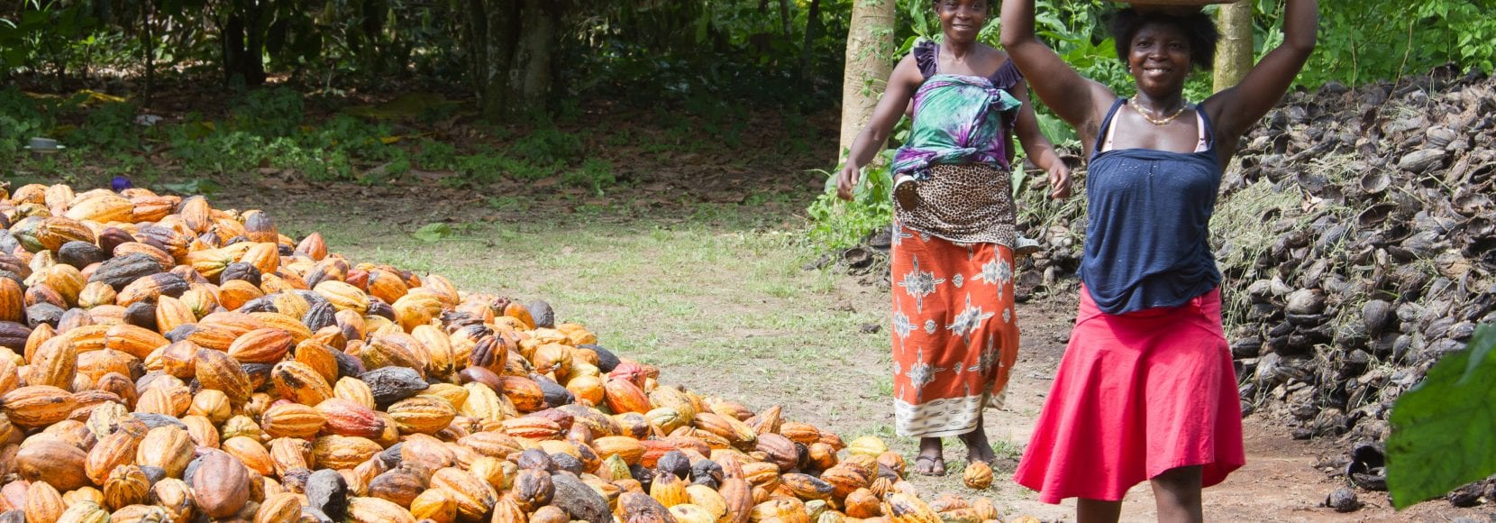 Group of farmers holding cocoa over their heads in baskets