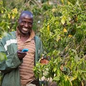 Man smiling next to plants with phone in hand