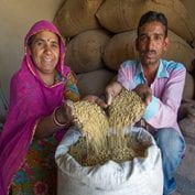 Couple of farmers in India displaying their soy beans