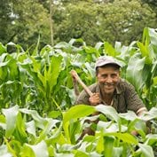 Man smiling in field of crops