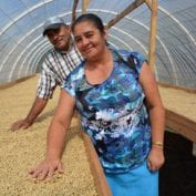 Couple smiling looking at their coffee beans drying out