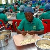 Workers processing cashews