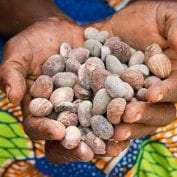 Woman holding nuts