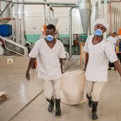 Two workers dragging sacks of food in Tanzania