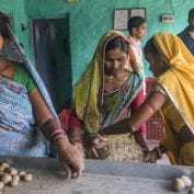 Group of women farmers sorting through vegetables