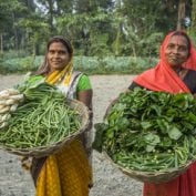 Vegetable farmers Bindu Devi and Macho Devi, members of a Farmer's Producer Group, carry their vegetables in a basket