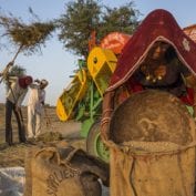 Woman filling sacks with beans