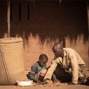 Father and son sorting beans together