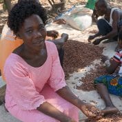 Group of people processing cocoa beans