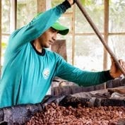 Man working to process food in peru