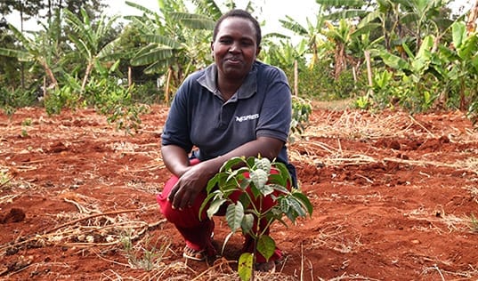Women Agronomists in Ethiopia