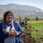 Farmer in Chile smiling in the field