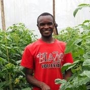 Man working in a greenhouse with plants