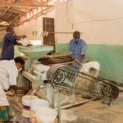 Group of people working with flour