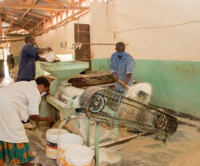 Group of people working with flour