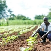 farmer shows his crops after using soil testing