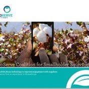 TechnoServe coalition for smallholder sourcing