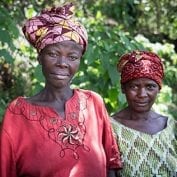 Two Congolese farmers working with coffee