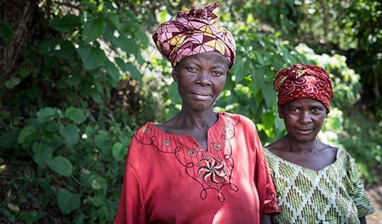 Two Congolese farmers working with coffee
