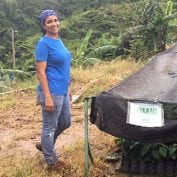 Woman working on coffee plants in Puerto rico