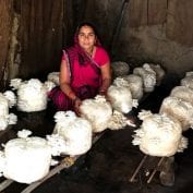 Woman from India with Mushroom Micro Enterprise