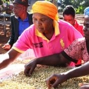 Women working on farm production