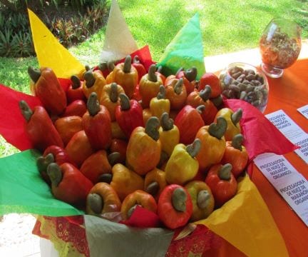 Bowl of marañones