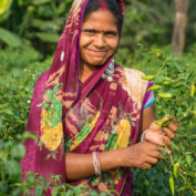 Woman farmer in India