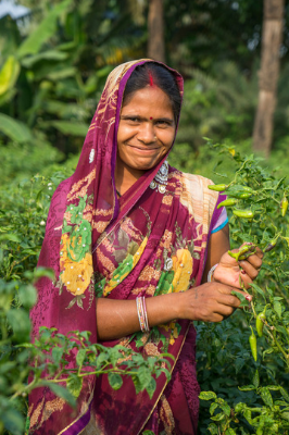 Woman farmer in India