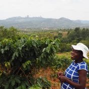 woman coffee farmer Zimbabwe