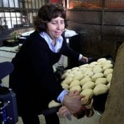 Worker baking bread