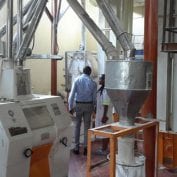 Food processing plant