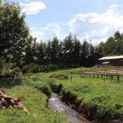 Ethiopian landscape