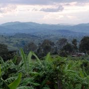 Rwanda landscape