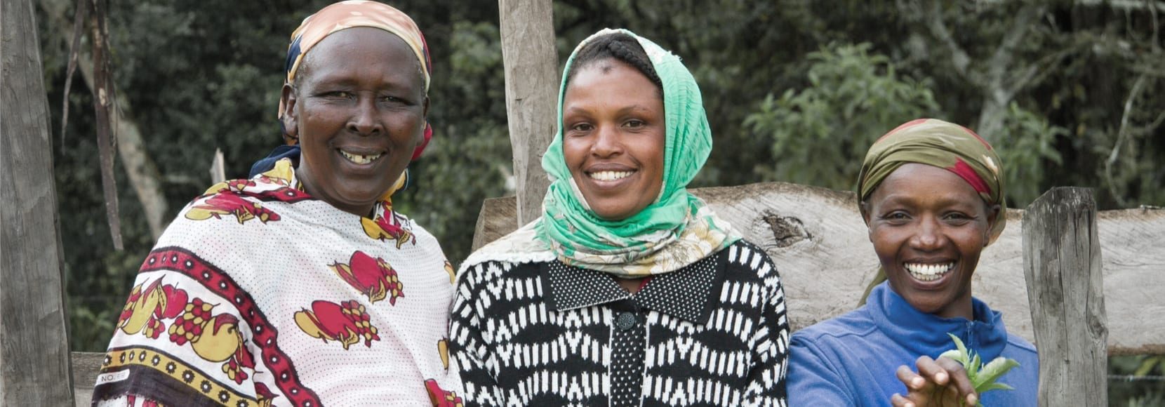 Three smiling women