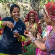 TechnoServe staff member provides field training to a group of women who are a part of Technoserve's kitchen garden program in India