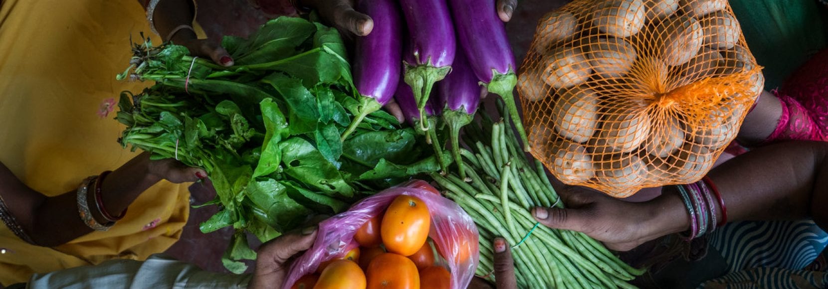 Women farmers hold an assortment of vegetables in Bihar, India