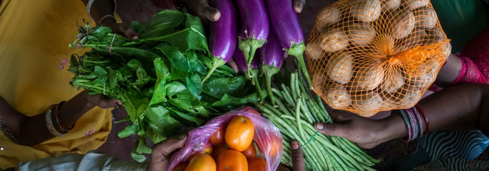 Women farmers hold an assortment of vegetables in Bihar, India