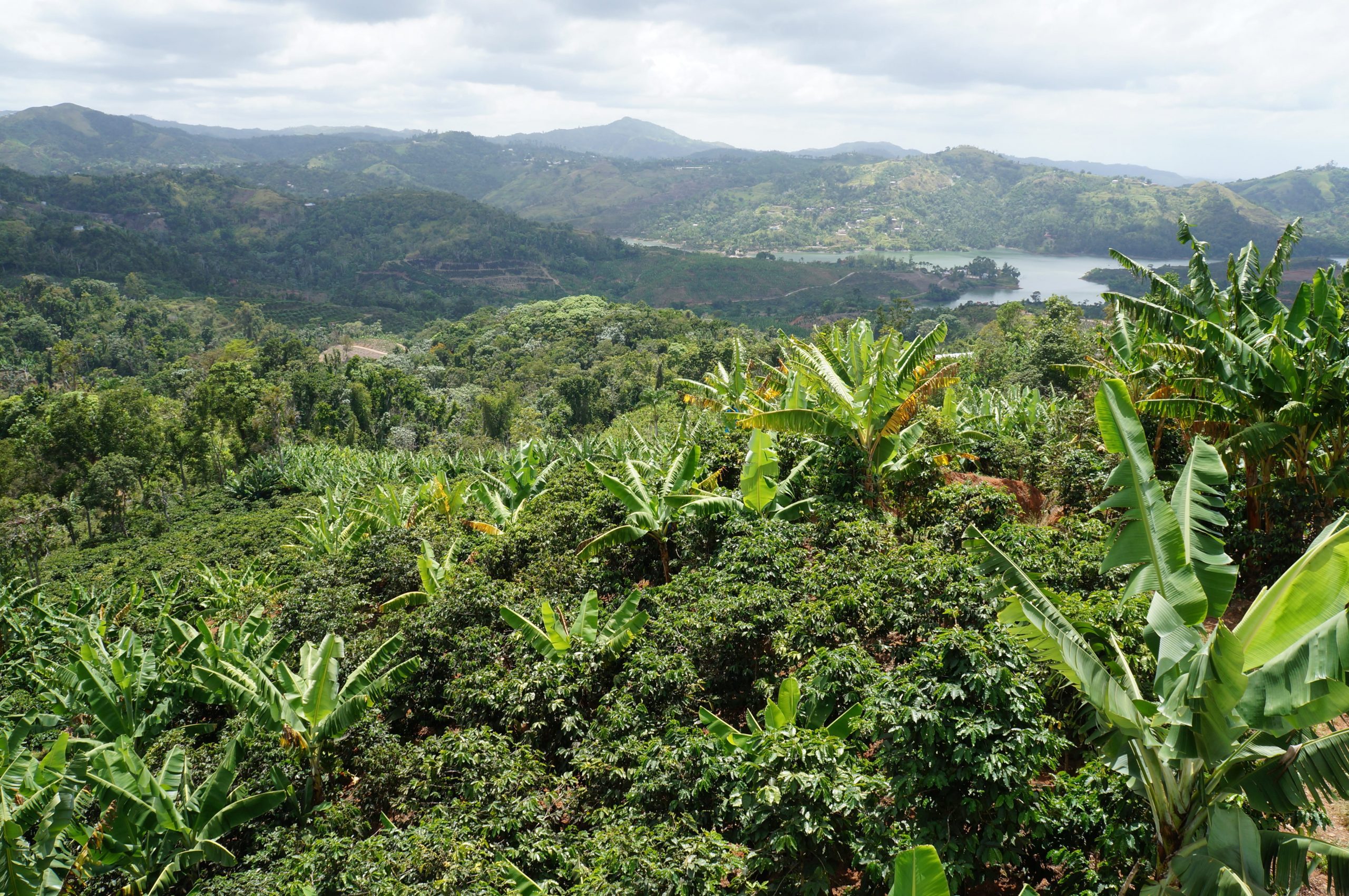 Puerto Rico landscape