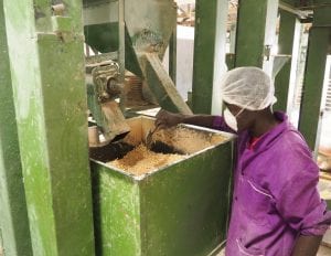 man working at a food processor in Kenya supported by TechnoServe training program SAFE