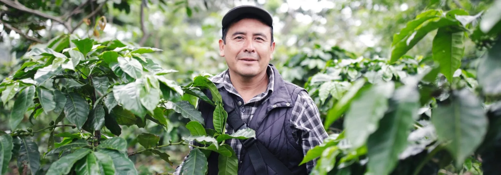 Environmental sustainability extends across technoServe's programs worldwide, including the one selected by this program participant, a coffee farmer in Guatemala