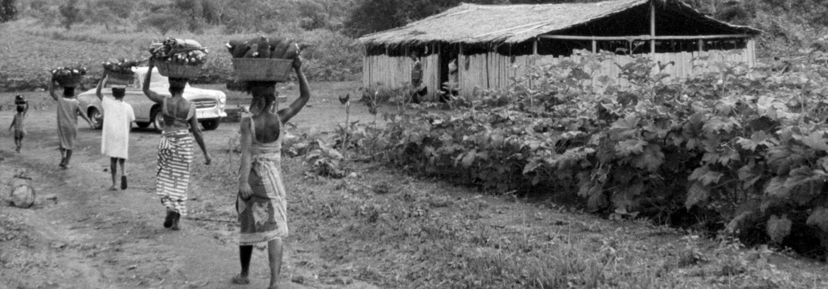 TechnoServe's origin traces back to the village of Adidome, Ghana. In 1968, Ed Bullard launched TechnoServe – short for “technology in the service of mankind.